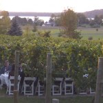 home_Dining-in-the-Vines home_Dining-in-the-Vines
