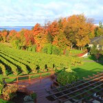 ChateauGT