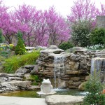 Oliver_10(1)