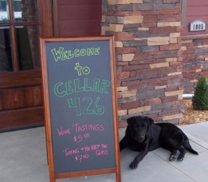 cellar426-dog3