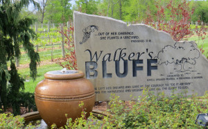 Walker's Bluff Winery