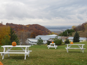 The view from Danzinger Vineyards in Wisconsin with the Mississippi River in the background. 