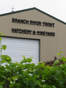 Trout Springs Winery is named after the trout hatchery which is on the same property .