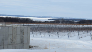 The foundation has been poured at Bonobo Winery.  The view from the tasting room will be one of Michigan's best. 
