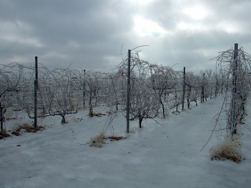 Winter at Stonhaus. Photo courtesy Stonehaus Farms Winery
