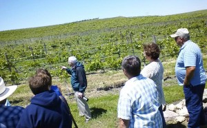 Viewing the vines at Feather River Vineyards who will be at this year's Omaha Crush (Photo courtesy Feather River)