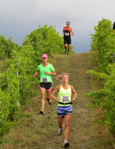 Ciccone Vineyards and Winery is the center of the annual Harvest Stompede Run and Walk.  This years race through the vineyard is on September 6th and 7th. 