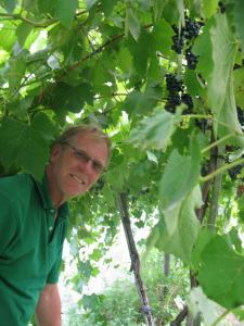 The best winemaker, like Dr. Paul Tabor of Tabor Home Winery in Iowa, are literally in their vineyards on a regular basis. 