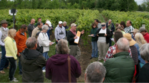 Photo credit: Chrislyn Particka, Cornell University. Northern Grapes Project Director Dr. Timothy Martinson speaks about the training system trials during a field day at Coyote Moon Vineyards in Clayton, NY.  