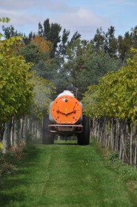 Multiple researchers have pointed out benefits to foliar feeding. Figuring out the ideal spray timing and program for each individual vineyard is as important as identifying what nutrients are needed.