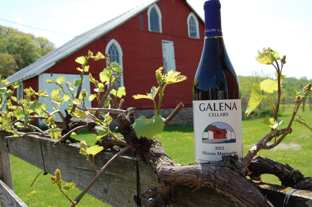 Galena Cellars Unveils Marquette Midwest Wine Press